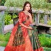 Banarasi Silke Checks Saree