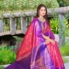 Banarasi Silke Checks Saree