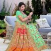 Pashmina Saree
