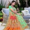 Pashmina Saree