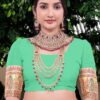 Pashmina Saree