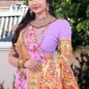 Pashmina Saree