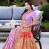 Pashmina Saree