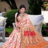 Pashmina Saree