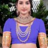 Pashmina Saree